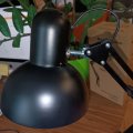 Настольная лампа Евросвет Ridy-027 E27 черный 000057152 струбцина