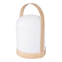 Настільна LED лампа Goldlux Minorka акумуляторна 0.3W 3000К+RGB IP20 USB 330642