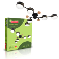 Світильник стельовий Eurolamp Golden edge під лампи 6xGX70 IP20 чорний LR-6xGX70(black)G