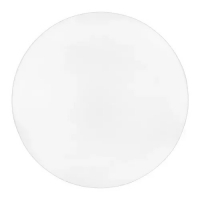 LED светильник накладной Biom 30W 5000К DL-R102-30-5 круглый 24070 LED светильник накладной Biom 30W 5000К DL-R102-30-5 круглый 24070