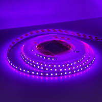 LED лента ElectroHouse Shade 120шт/м 10W/м IP20 12V фиолетовый EH-STR14SHPR