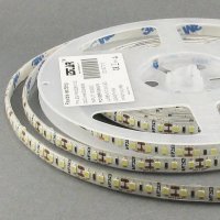 LED стрічка Estar SMD 3528 120шт/м 9.6W/м IP65 12V (9000-10000К)