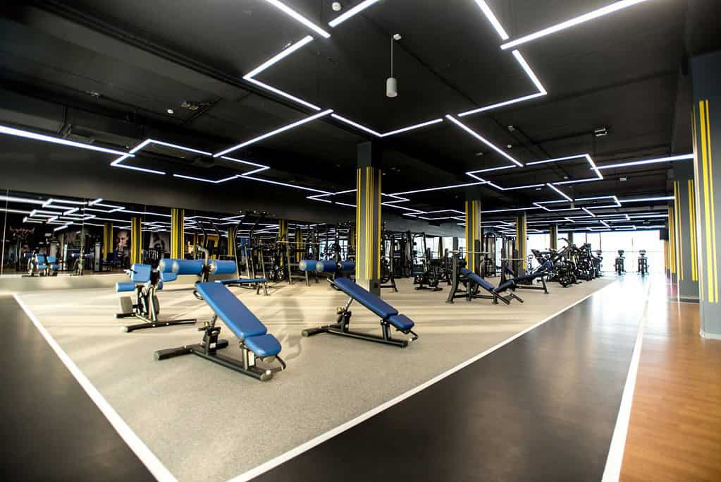 What-is-LED-Gym-Lighting-1024x683.jpg