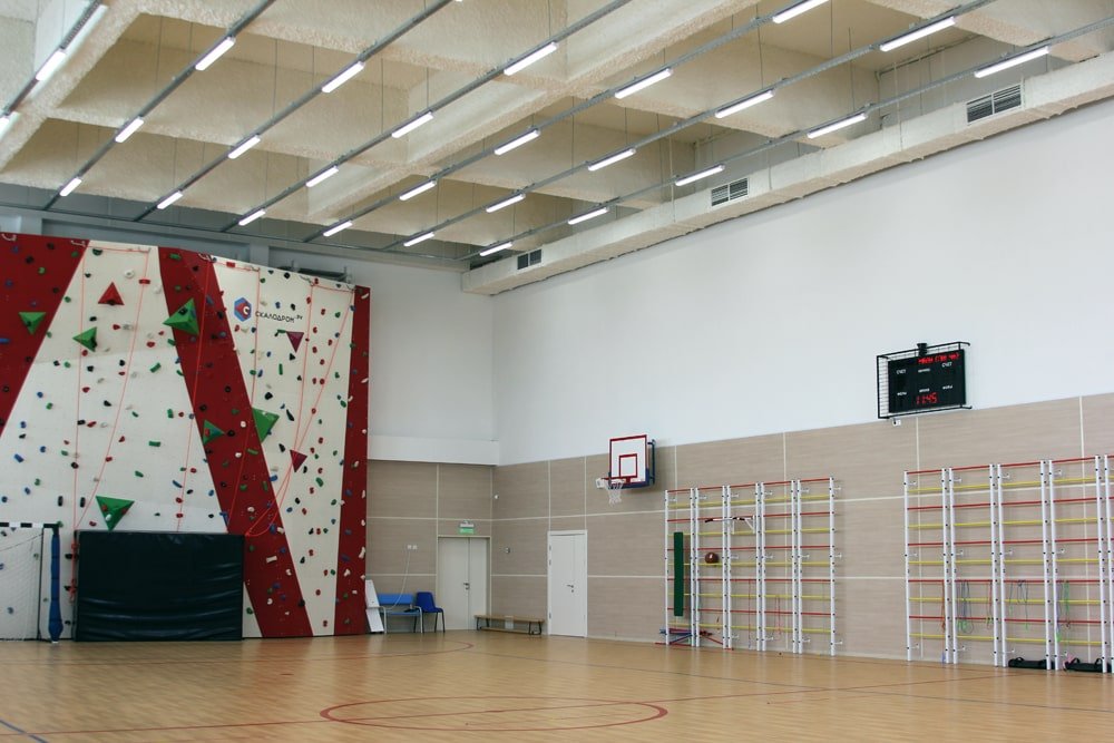 wcma5ky711mznz436lheb4p9po3dhmjs.jpg