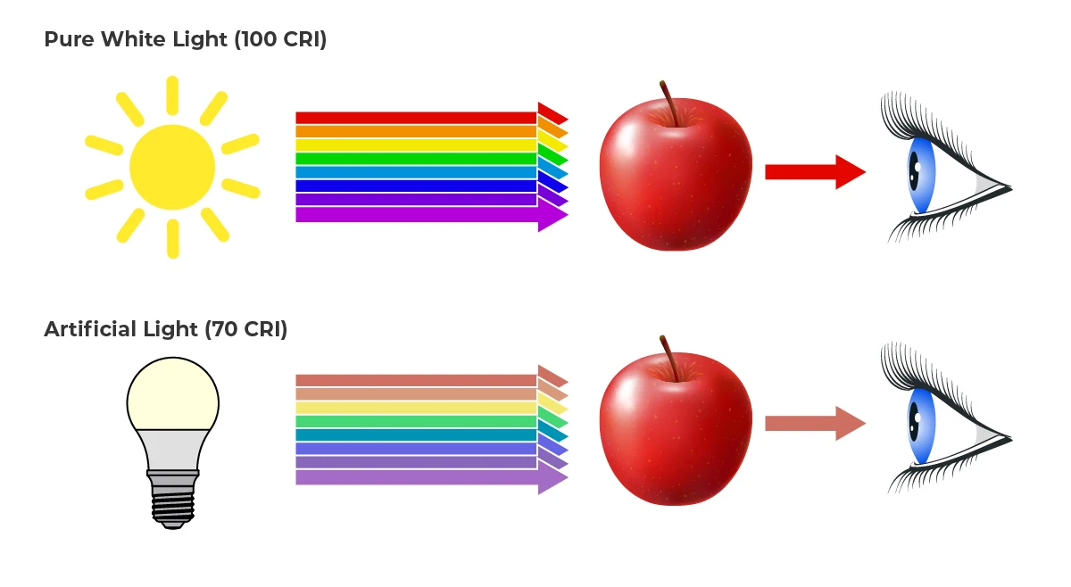 CRI_tooltip_infographic_V2.jpg