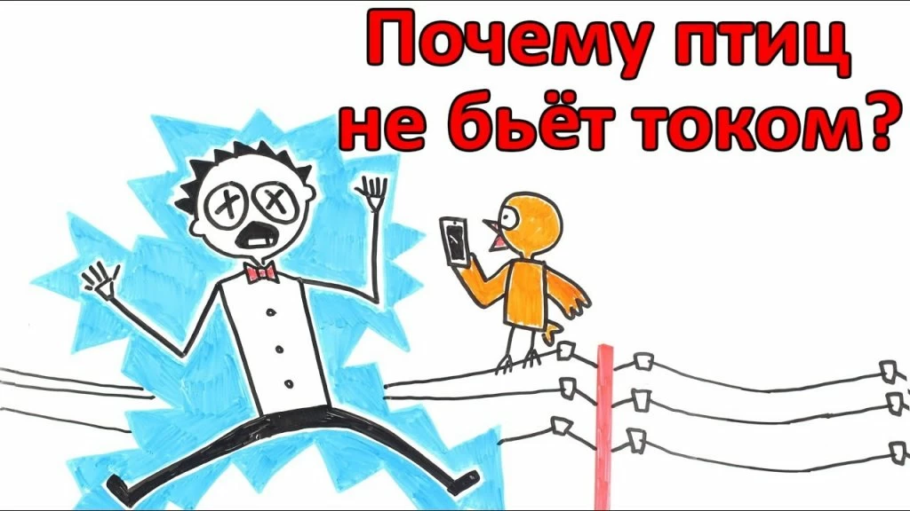 Почему не бьет током птиц maxresdefault.jpg