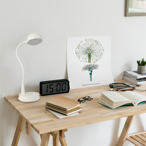 Купить настольные LED-лампы по доступной цене в Svetum 20a750032f41090eb2625ad33cdf13d3.jpeg