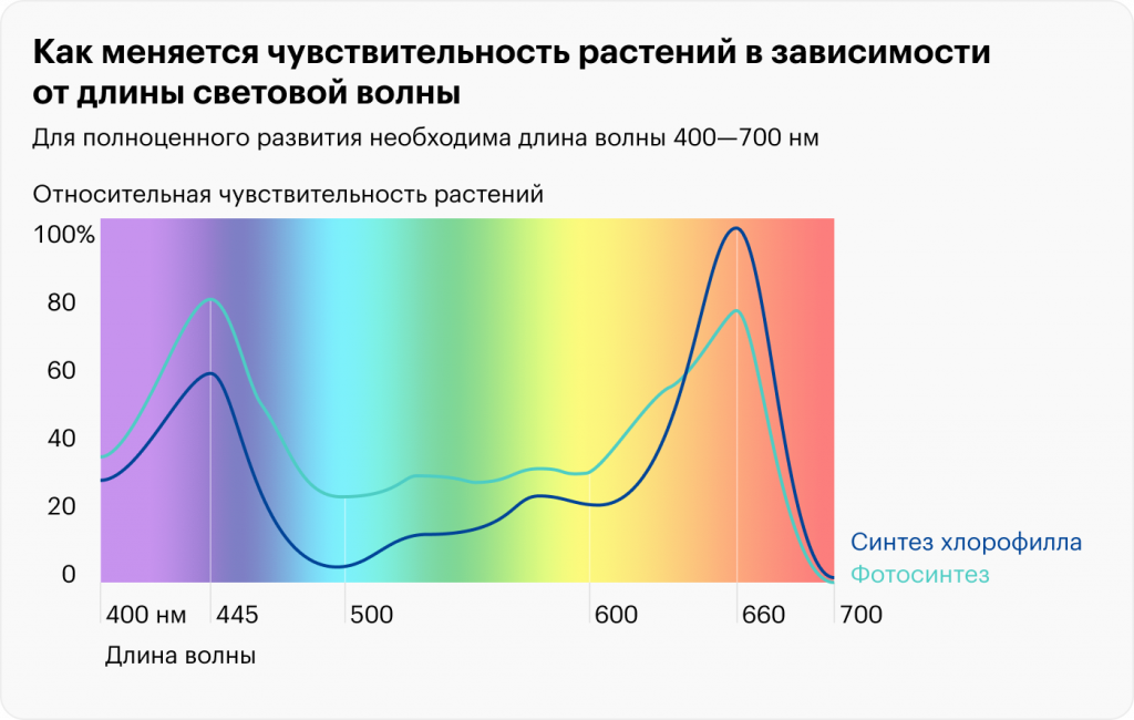 phytolamp-1desk.io4oo5..png