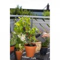 Комплект садовых инструментов Gardena Classic Ergo с ковшом 08966-30.000.00 Комплект садовых инструментов Gardena Classic Ergo с ковшом 08966-30.000.00