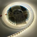 LED стрічка Eurolamp SMD2835 120шт/м 12W/м IP20 12V 4500K LED/ROLL-5m/4500K(120)12V