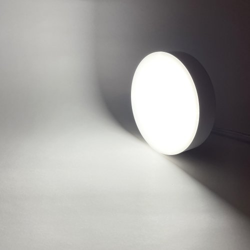 LED світильник накладний Biom 12W 5000К IP40 круглий білий NL-1-R12-W-5 25787