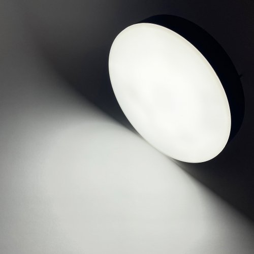 LED светильник накладной Biom 24W 5000К IP40 круглый черный NL-2-R24-B-5 25797