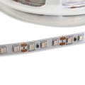 LED лента ElectroHouse Shade 120шт/м 10W/м IP20 12V фиолетовый EH-STR14SHPR