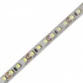LED стрічка OEM SMD2835 120шт/м 9W/m IP20 12V 7000-7500K 50м ST-50-12-2835-120-CW-20 22304 LED стрічка OEM SMD2835 120шт/м 9W/m IP20 12V 7000-7500K 50м ST-50-12-2835-120-CW-20 22304