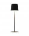Настольная LED лампа аккумуляторная Kloodi 5W 23000K IP20 черный TA-5V POP 3K BK Настольная LED лампа аккумуляторная Kloodi 5W 23000K IP20 черный TA-5V POP 3K BK