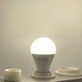 Світлодіодна LED лампа Horoz кулька ELITE-10 10W E27 4200K 001-005-0010-060