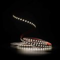 LED лента Prolum SG SMD2835 120шт/м 13W/м 24V 2700-6500K 350051 LED лента Prolum SG SMD2835 120шт/м 13W/м 24V 2700-6500K 350051