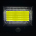 LED прожектор на солнечной батарее Goldlux Duo 1W 6000К IP44 с датчиком движения 323071