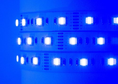 LED лента Mi-Light SMD5050 RGB+WW+CW 60шт/м 24W/m IP20 12V (RGB+CCT) MI-LED-RGBW60CCT1220U