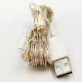 Led гірлянда USB Biom РОСА AL 100шт 10м теплий білий 3500K R-L-10-100-06-35