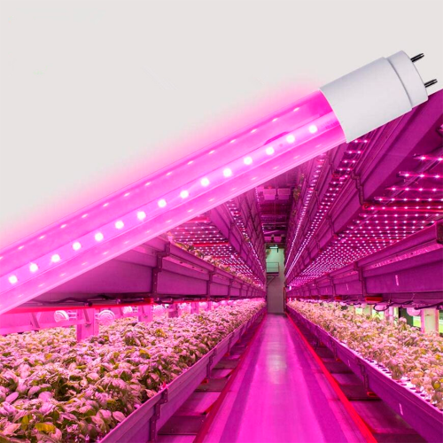 Світлодіодна лампа для рослин Videx FITO T8F 9W T8 0.6M 660nm+450nm VL-T8F-0906B