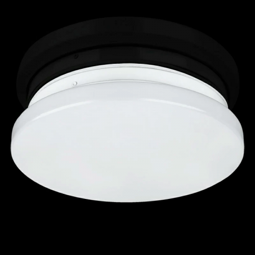 LED світильник накладний Biom 24W 5000К DL-R102-24-5 круглий матовий 23291