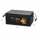 Акумулятор Delux LiFePO4 літій залізо фосфатний 25.6В 200 Аг 90023750