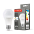 LED лампа Titanum A60 12W E27 4100K TLA6012274