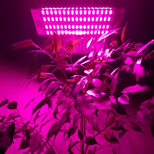 LED світильник для рослин LT 60W повного спектру PHYTO-SPOT-60 041002