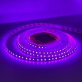 LED лента ElectroHouse Shade 120шт/м 10W/м IP20 12V фиолетовый EH-STR14SHPR
