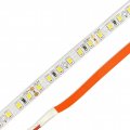 LED лента Biom Professional SMD2835 120шт/м 13.5W/м IP20 24V (4000-4500K) BPS-G3-24-2835-120-NW-20 18558 LED лента Biom Professional SMD2835 120шт/м 13.5W/м IP20 24V (4000-4500K) BPS-G3-24-2835-120-NW-20 18558