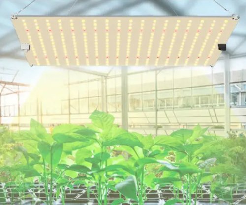 Фитосветильник для растений GrowBoard 150W (Samsung LM281B+) GB150V2