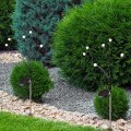 LED светильник садово-парковый Goldlux Fiorini на солнечной батарее 3500K IP44 328168