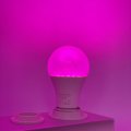 LED фитолампа для растений Евросвет Filament F-A60-11-27 11W E27 1200K 000059859 LED фитолампа для растений Евросвет Filament F-A60-11-27 11W E27 1200K 000059859