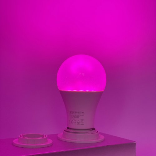 LED фитолампа для растений Евросвет Filament F-A60-11-27 11W E27 1200K 000059859