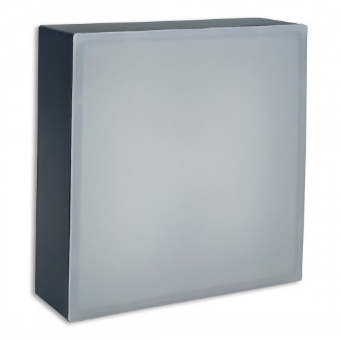 LED светильник накладной Biom 6W 5000К IP40 квадрат черный NL-2-S6-B-5 25798