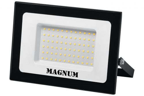 LED прожектор MAGNUM FL12 ECO 100W 6500K IP65 slim 90022013