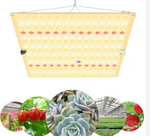 Фітосвітильник для рослин GrowBoard 70W (Samsung LM281B+) QB70V2