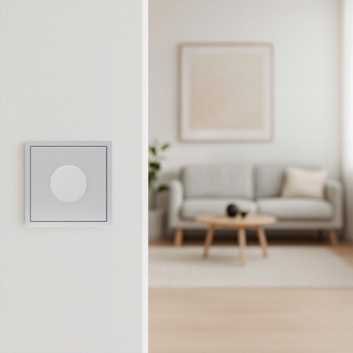 Диммер Ardero EV111D-S 100W Soft поворотный серебро 8722