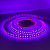LED стрічка ElectroHouse Shade 120шт/м 10W/м IP20 12V фіолетовий EH-STR14SHPR