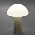 Настольная LED лампа аккумуляторная Videx 4W 3000-6500K+RGB белая VL-TF25BG Настольная LED лампа аккумуляторная Videx 4W 3000-6500K+RGB белая VL-TF25BG