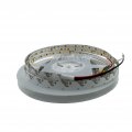 LED стрічка Rishang SMD2835 120шт/м 9.6W/м IP33 48V 3000K RN08C0TH-A 20503