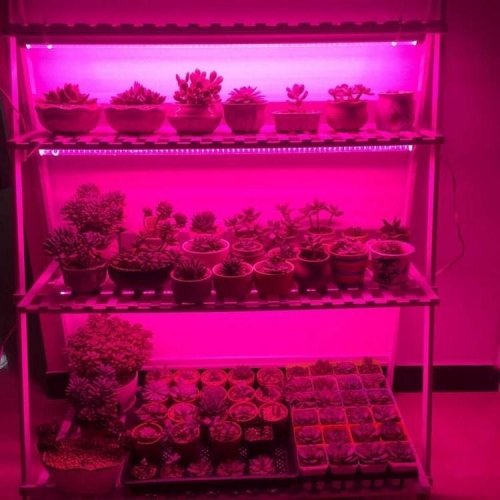 LED фітосветільнік LT 36W 100см 72LED IP65 повного спектра PHYTO-LAMP-1 41004