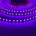 LED лента ElectroHouse Shade 120шт/м 10W/м IP20 12V фиолетовый EH-STR14SHPR