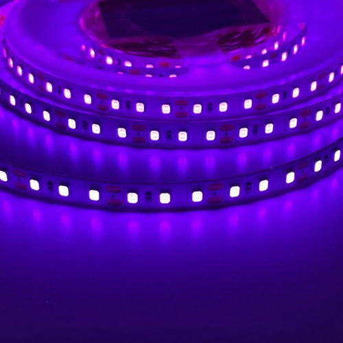 LED лента ElectroHouse Shade 120шт/м 10W/м IP20 12V фиолетовый EH-STR14SHPR