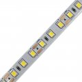 LED стрічка Eurolamp SMD2835 120шт/м 12W/м IP20 12V 4500K LED/ROLL-5m/4500K(120)12V