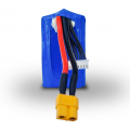 Акумуляторна збірка Molicel 6S2P 2800mAh APS-6/2-P42A
