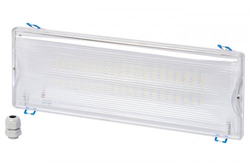 LED світильник аварійний DELUX REL-204 4W 40LED IP20 без акумулятора 90022962