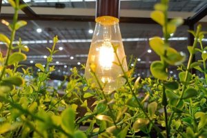 Світлодіодне освітлення для теплиць Світлодіодне освітлення для теплиць