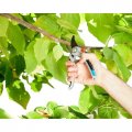 Секатор Gardena Comfort B/L обводной 25мм 08906-20.000.00 Секатор Gardena Comfort B/L обводной 25мм 08906-20.000.00